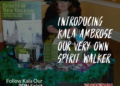 Spirit Walker Stories and Other Paranormal Explorations