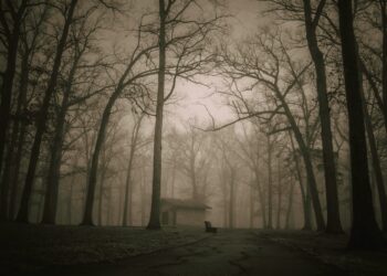 Darkness Of The Woods - Haunting Mysteries From Around The World