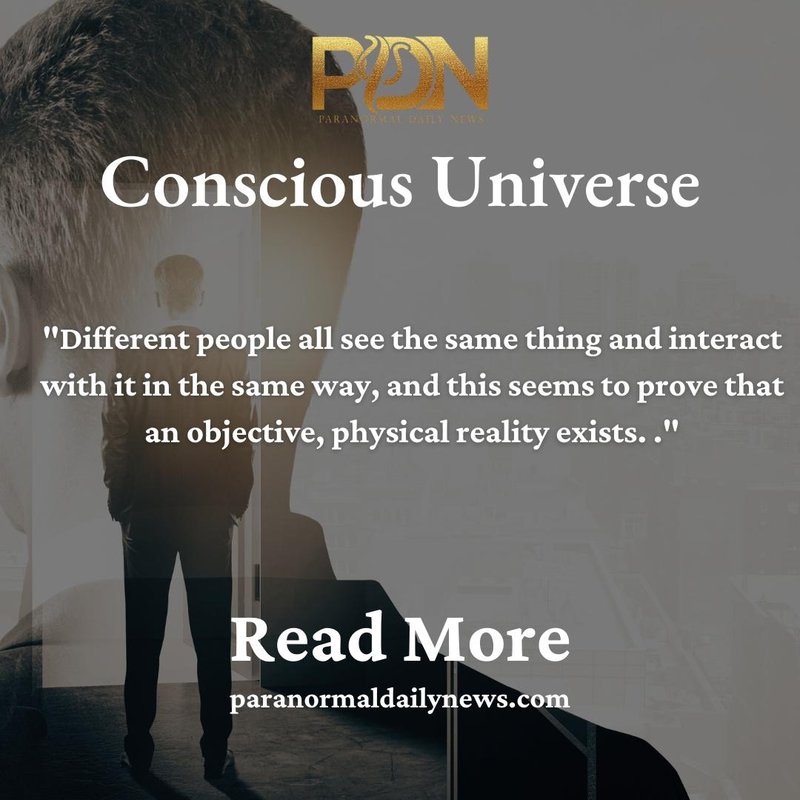 what would a conscious universe look like