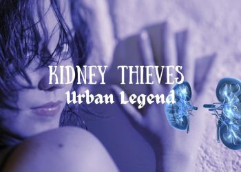 Kidney Thieves: The Urban Legend cover