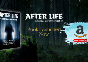afterlife book a rainey daye investigation