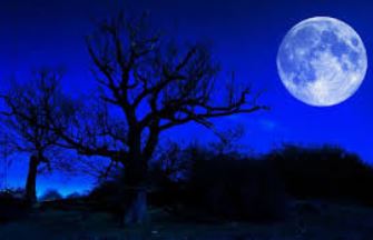 Background BlueMoon Paranormal Daily News