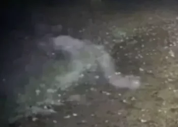 Spirit or Spoof? Demon Caught On Camera at Clumber Park cover