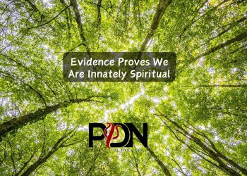 Dr Lisa Miller Sparks a Paradigm Shift in the Science of Spirituality cover