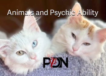 psychic animals