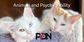 psychic animals