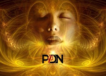 What Constitutes Real Evidential Mediumship? cover