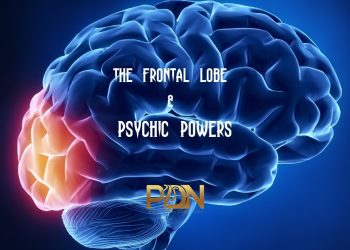 The Frontal Lobe is Blocking Psychic Abilities cover