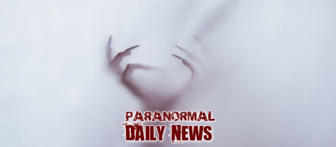 paranormal experts
