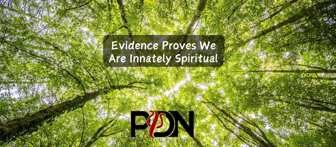 Dr Lisa Miller Sparks a Paradigm Shift in the Science of Spirituality cover